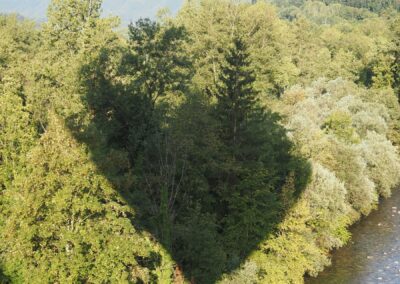L'ombre de la montgolfière sur la forêt