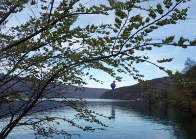 Une montgolfière aperçue entre les branches, au bord du lac