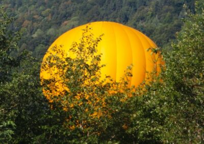 Une montgolfière jaune qui se lève derrière les arbres