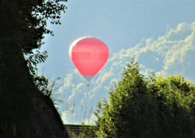 Une montgolfière rose entre les arbres